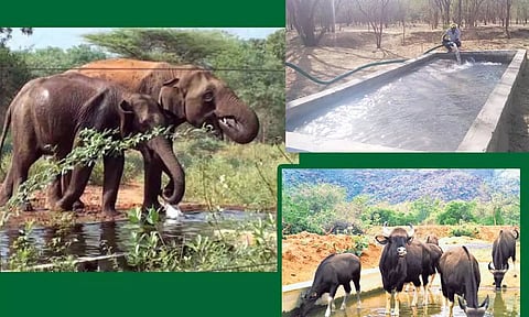 கோப்பு படம்.