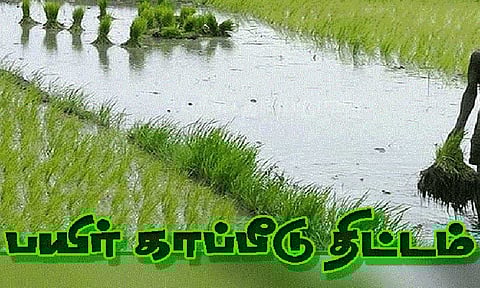 நெல் சாகுபடி செய்த விவசாயிகள் நவம்பர் 15-ந்தேதி வரை காப்பீடு செய்யலாம்