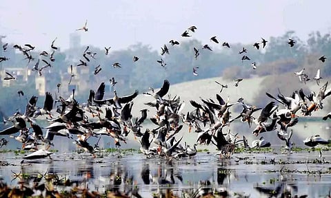 கோப்புப்படம்.