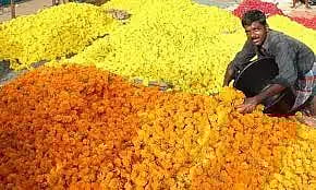 கரூரில் பூக்களின் விலை உயர்வு