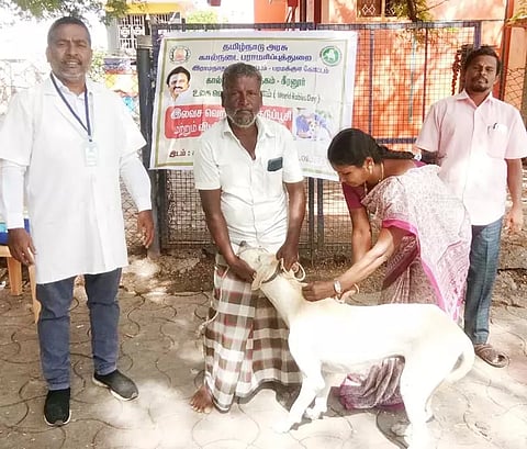 வெறிேநாய் தடுப்பூசி முகாம்