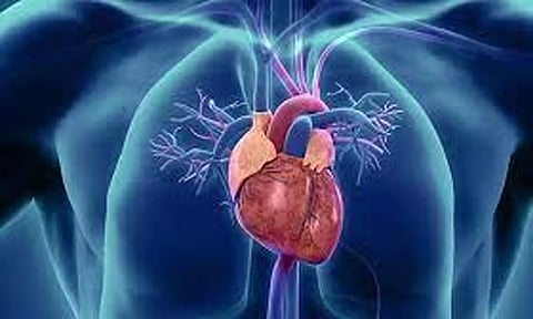 52 சதவீத உயிரிழப்பு இதய பாதிப்பால் நிகழ்கிறது-ஆய்வில் டாக்டர்கள் அதிர்ச்சி தகவல்
