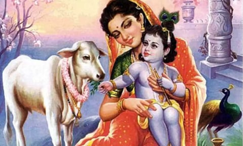 ஸ்ரீ கிருஷ்ண அவதாரம் சிறப்புகள்