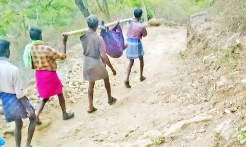 சிகிச்சைக்காக ெதாழிலாளியை ெதாட்டில் கட்டி தூக்கிச்சென்ற காட்சி.