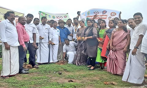 கன்னியாகுமரி கடற்கரையில் 6000 பனை விதைகள் நடும் பணி