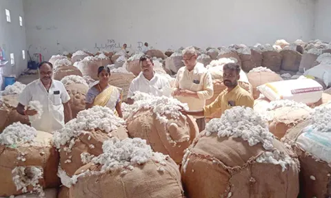 ஒழுங்குமுறை விற்பனை கூடத்தில் பருத்தி ஏலம் நடந்தது.
