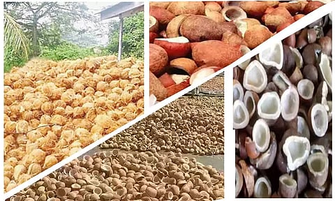 கோப்பு படம்.