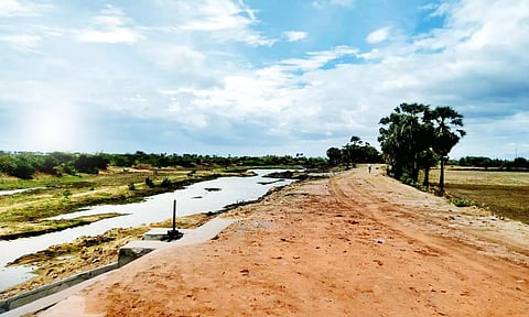 தூர்வாராமல் காணப்படும் கடம்பாகுளம் மற்றும் அதன் கரைகளை படத்தில் காணலாம்.