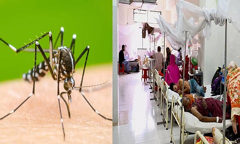 டெங்கு உயிரிழப்பு 1006: நோயாளிகளால் நிரம்பி வழியும் வார்டுகள்