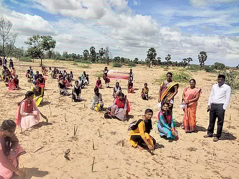 பனை விதைகள் நடும் பணியில் ஈடுபட்ட கோவிந்தம்மாள் ஆதித்தனார் மகளிர் கல்லூரியின் நாட்டு நலப்பணித்திட்ட மாணவிகளை படத்தில் காணலாம்.