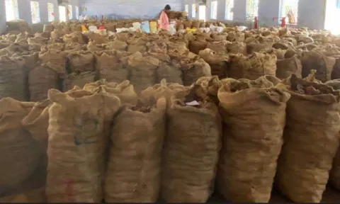 ஏலத்திற்காக வைக்கப்பட்டிருந்த தேங்காய் பருப்பு மூட்டைகள்.