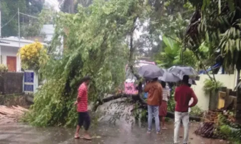 கொல்லங்கோடு - ஊரம்பு சாலையில் கனமழைக்கு மரம் சாய்ந்தது