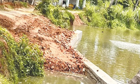 மிடாலம் ஊராட்சியில் பாசன குளத்தின் நடுவே தடுப்பு சுவர் கட்ட வேண்டும்