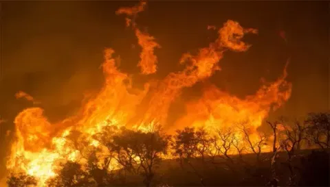 மேட்டூர் காவிரி கரையோரத்தில் பரவிய தீயால் பரபரப்பு