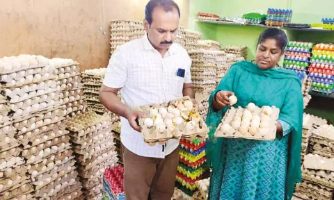 கெட்டுப்போன முட்டைகளை உணவு பாதுகாப்புத்துறை நியமன அதிகாரி விஜயலலிதாம்பிகை ஆய்வு செய்தபோது எடுத்தப்படம்.
