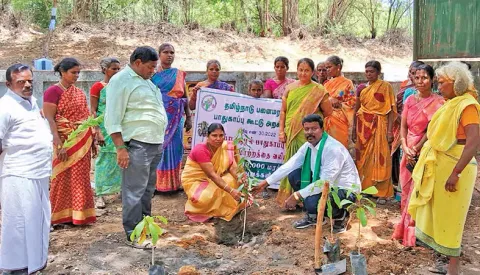 மாவட்ட கிரீன் கமிட்டி உறுப்பினர் தாமோதரன், ஸ்ரீவைகுண்டம் ஊராட்சி ஒன்றிய சேர்மன் வசந்தாமணி ஆகியோர் மரக்கன்றுகளை நட்ட போது எடுத்த படம்.