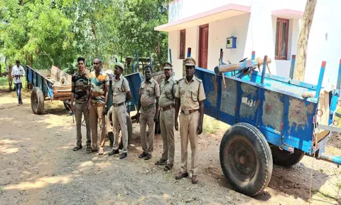 பறிமுதல் செய்யப்பட்ட மாட்டு வண்டிகள்.