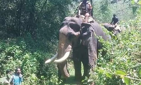 ஊருக்குள் புகுந்து பொதுமக்களை அச்சுறுத்தும் காட்டு யானையை விரட்ட 2 கும்கி யானைகள் வரவழைப்பு