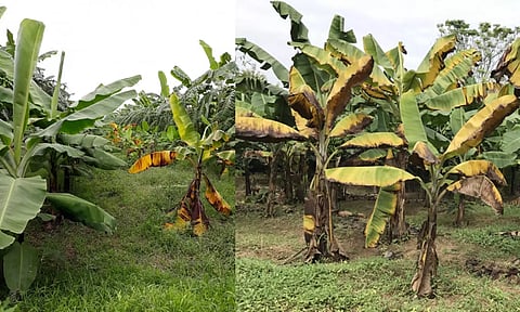 கோப்பு படம்.