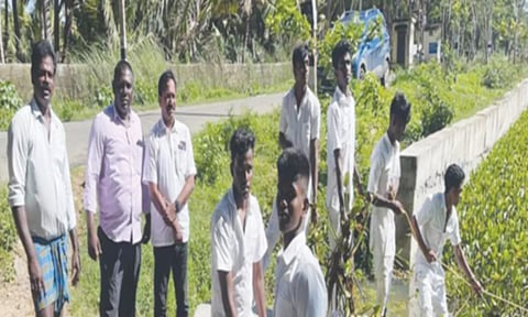 பொற்றையடி வெங்கலராஜன் கோட்டை சானலில் ஆகாயத்தாமரைகள் அகற்றும் பணி