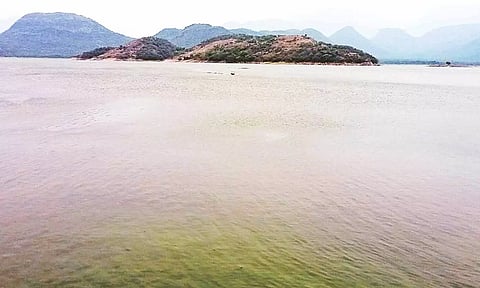 நீ்ர் நிரம்பி கடல் போல் காட்சி அளிக்கும் அமராவதி அணை.