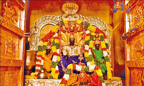 திருநாகேஸ்வரம் நாகநாதசாமி கோவிலில் ராகு பெயர்ச்சி விழா