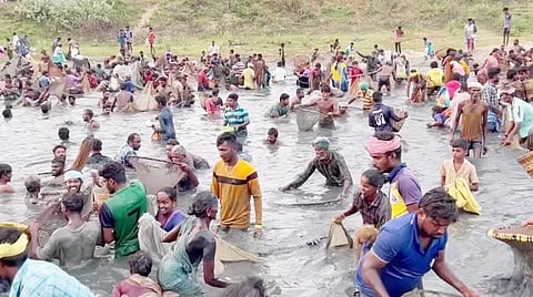 கிராம மக்கள் போட்டி போட்டு கொண்டு மீன்பிடித்தனர்.