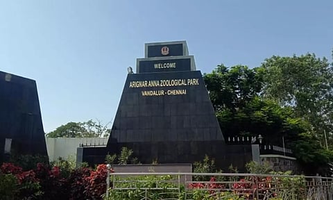 வண்டலூர் உயிரியல் பூங்கா இன்று திறப்பு
