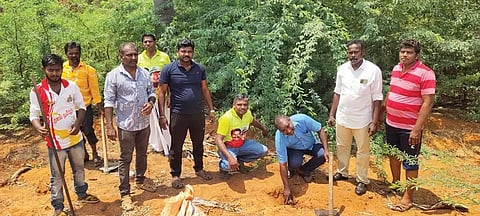 நாம் தமிழர் கட்சி சார்பில் பனை விதைகள்  நடும் நிகழ்ச்சி