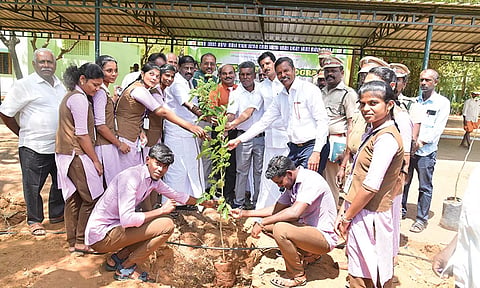 நெல்லை தட்சண மாற நாடார் சங்கம் கல்லூரியில் 1,000 மரக்கன்றுகள் நடும் விழா