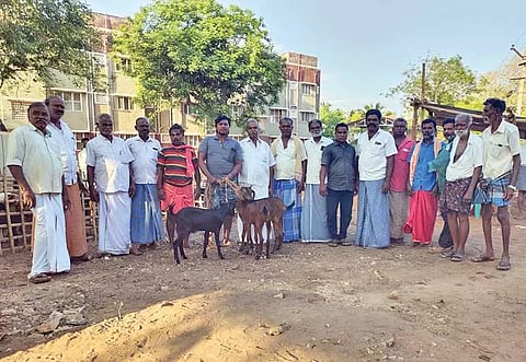 தட்டார்மடத்தில் வாரச்சந்தை மீண்டும் தொடக்கம்