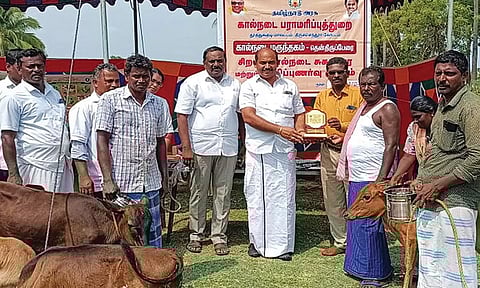 ஆழ்வார்திருநகரி அருகே கால்நடை சுகாதார விழிப்புணர்வு முகாம்