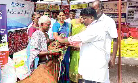 ஆலங்குளம் அருகே சிறப்பு கால்நடை சுகாதார விழிப்புணர்வு முகாம்