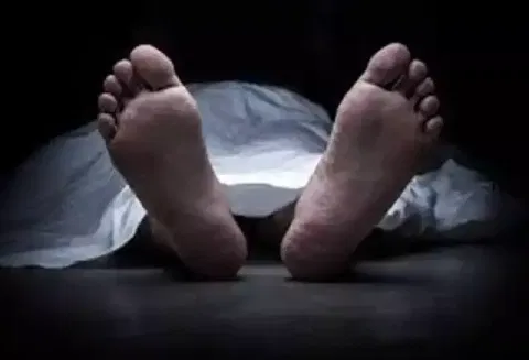 கடலூர் முதுநகரில் மோட்டார் சைக்கிள் மரத்தில் மோதி கூலி தொழிலாளி பலி