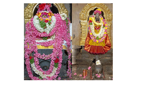 அண்ணாமலையார் கோவிலில் பிரதோஷ வழிபாடு