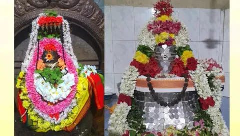 கோப்பணம்பாளையம் பரமேஸ்வரர், எல்லையம்மன் கோவிலில் உள்ள ஏகாம்பரநாதர் சிறப்பு அலங்காரத்தில் பக்தர்களுக்கு அருள்பாலித்த காட்சி.