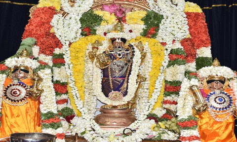 பெருமாள் மலைக்கு செம்மாலைகள் கொண்டு வந்து விடிய, விடிய பக்தர்கள் சாமி தரிசனம்