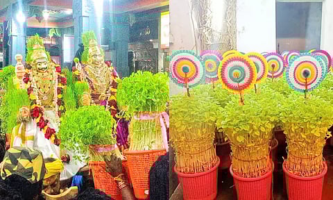 செல்வம் தரும் முளைப்பாரி ஊர்வலம்