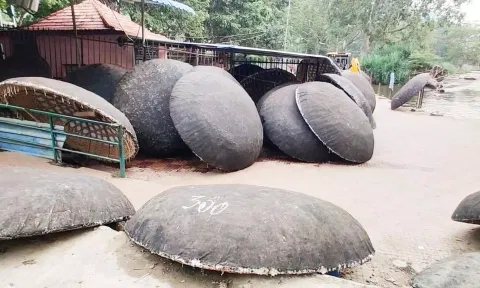 ஒகேனக்கல்லில் நீர்வரத்து 8 ஆயிரம் கனஅடியாக சரிவு