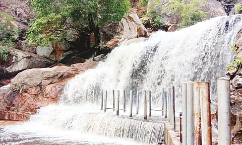 பஞ்சலிங்க அருவியில் தண்ணீர் ஆர்ப்பரித்து கொட்டுவதை படத்தில் காணலாம்.