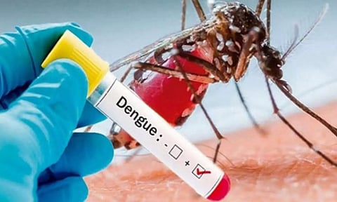 டெங்கு ஏற்படுத்தும் ஆபத்தான பின்விளைவு