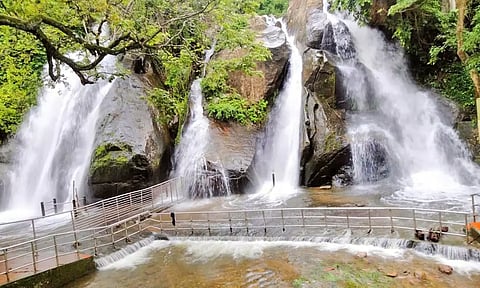 ஸ்ரீவில்லி, ராஜபாளையம்-கண்மாய், குளங்களில் நீர்மட்டம் உயர்வு