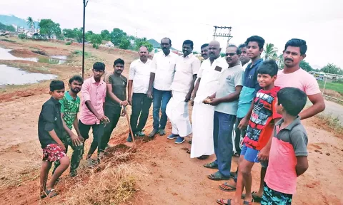 ஆலங்குளத்தில் தென்காசி தெற்கு மாவட்ட தி.மு.க. முன்னாள் செயலாளர் சிவபத்மநாதன் தலைமையில் பனை விதை நடும் பணி நடந்தது.