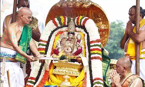 சிறிய சேஷ, ஹம்ச வாகனங்களில் மலையப்பசாமி வீதிஉலா