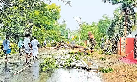 மரக்கிளைகள் அகற்றும் பணி நடந்தது.