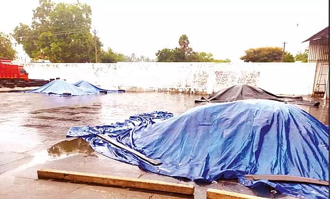 மழையால் தேங்காய் உலர் களங்களில் பணிகள் பாதிக்கப்பட்டுள்ளதை படத்தில் காணலாம்.&nbsp;