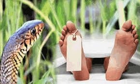 பாம்பு கடித்து பெண் சாவு