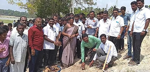 திருச்செந்தூர் குளத்தின் கரைகளில் பனை மர விதைகள் நடும் விழா