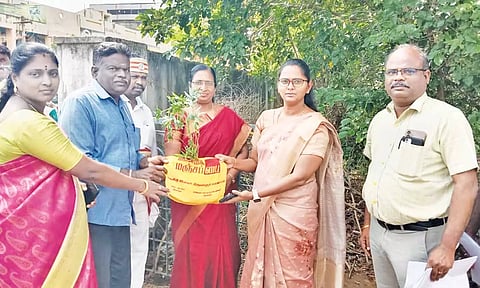 மரக்கன்று நடும் பணியை கலெக்டர் சாருஸ்ரீ மரக்கன்றை வழங்கி தொடங்கி வைத்தார்.
