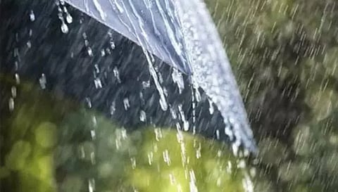 நெல்லை மாவட்டத்தில் பரவலாக மழை